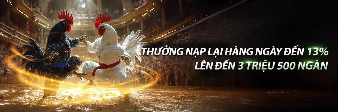 Đá gà trực tiếp C1 C2 C3